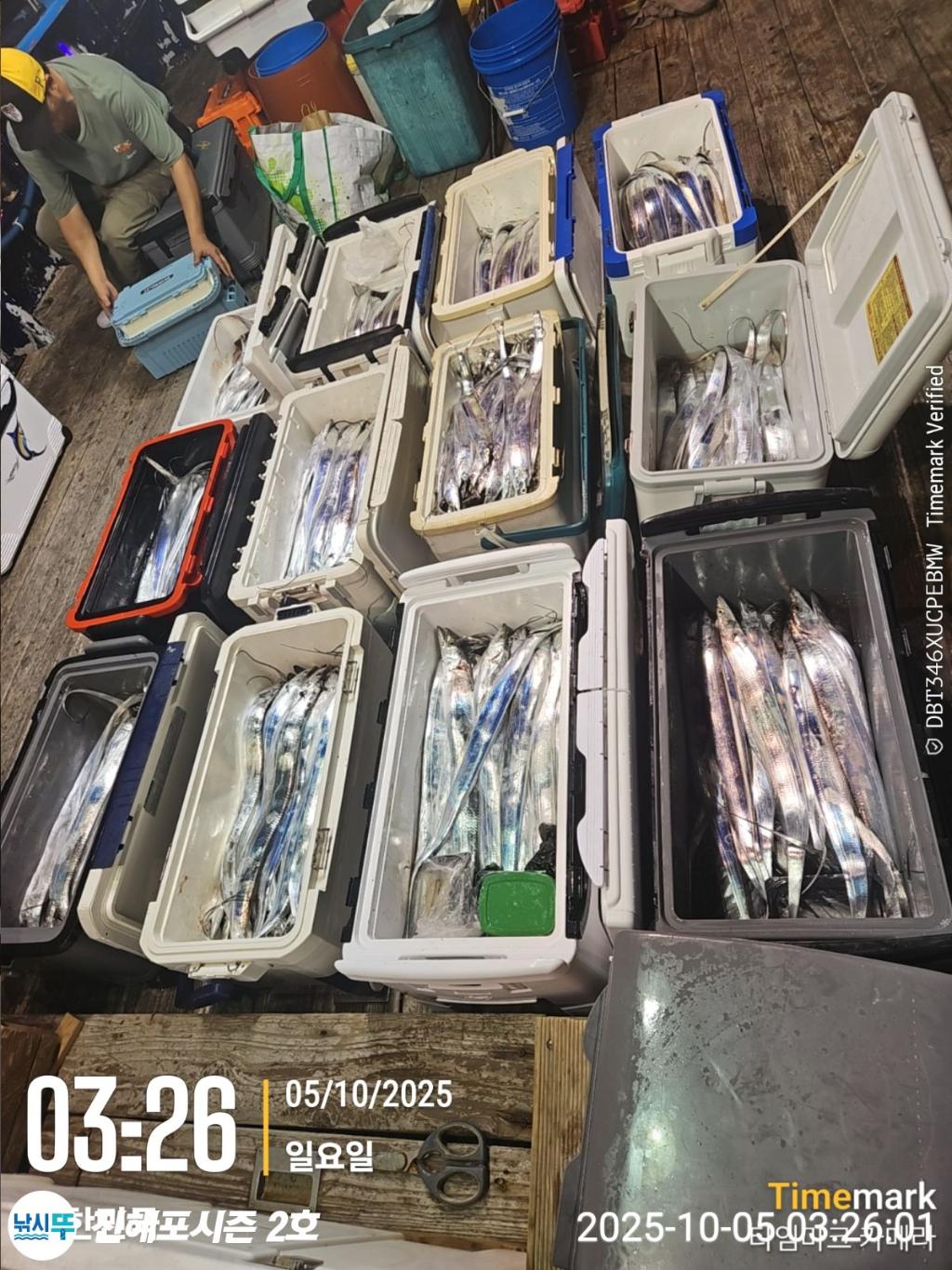 낚시뚜,갈치,진해행암항,진해포시즌 2호,낚시뚜1