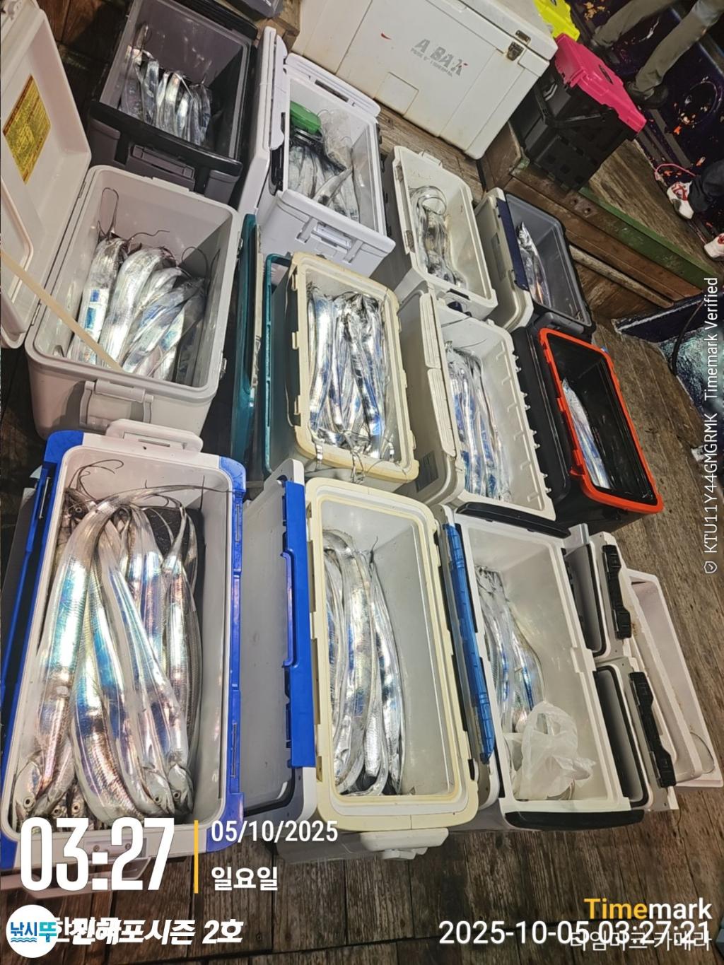 낚시뚜,갈치,진해행암항,진해포시즌 2호,낚시뚜0