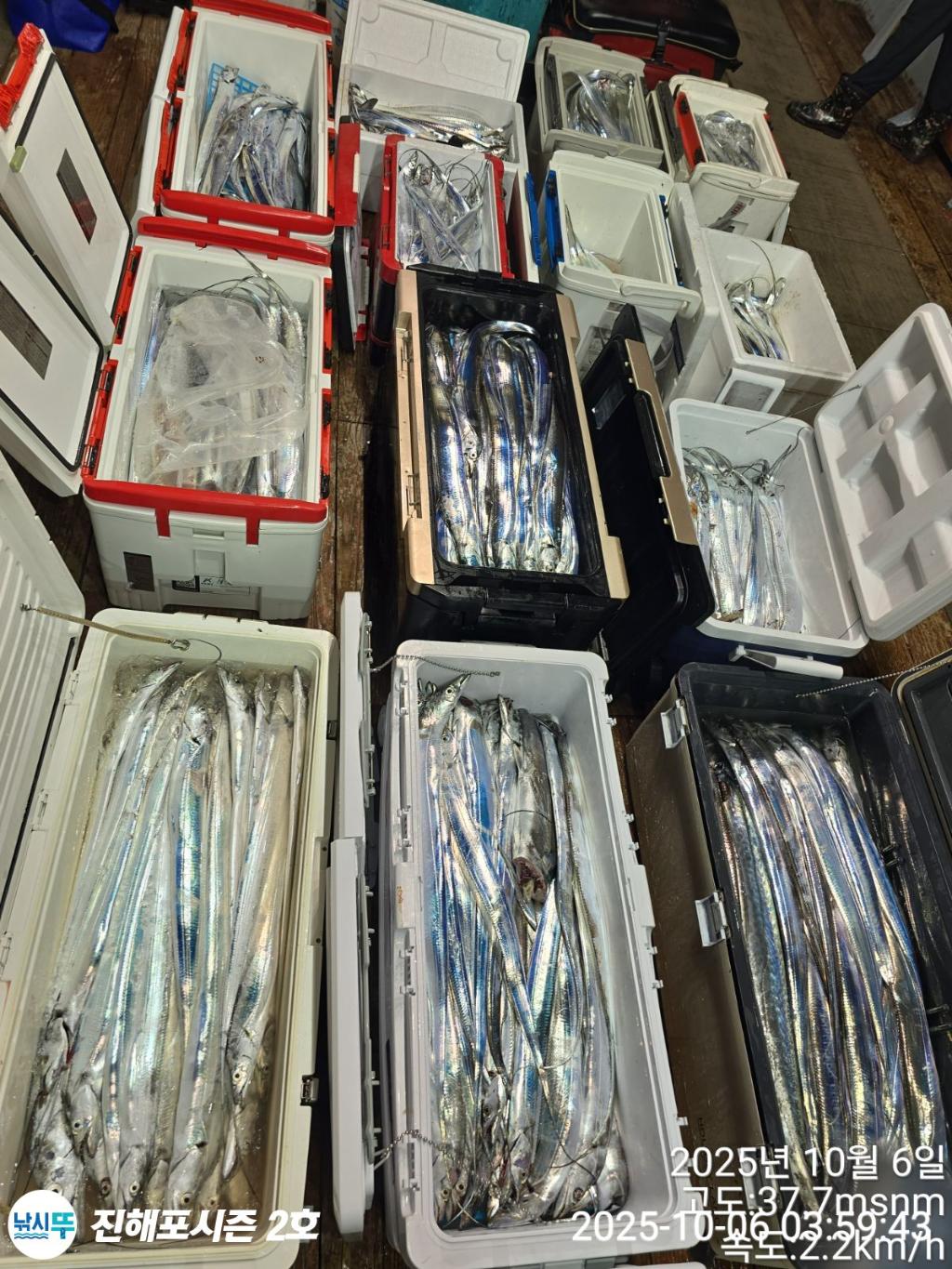 낚시뚜,감성돔,갈치,진해행암항,진해포시즌 2호,낚시뚜14