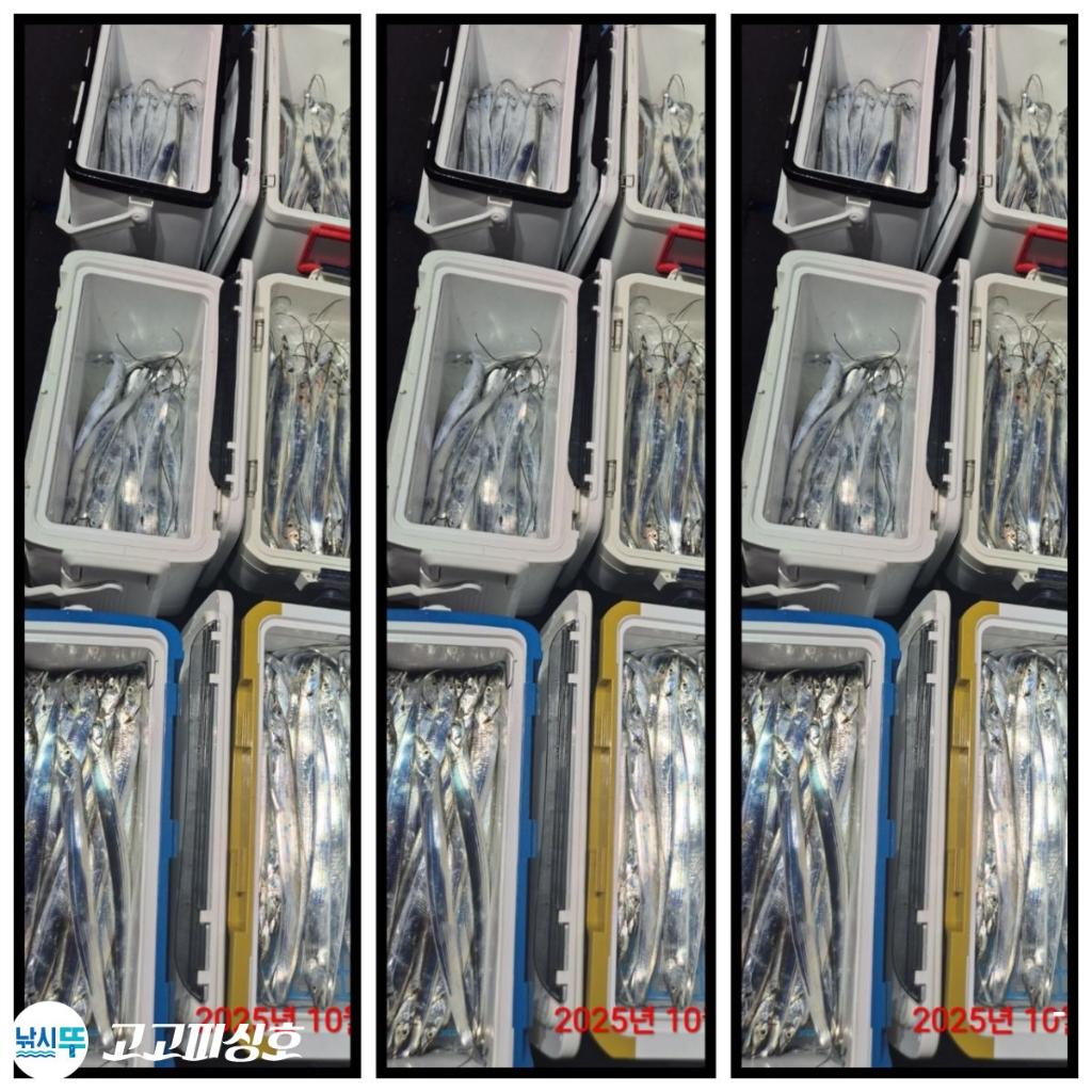 낚시뚜,갈치,속천항(진해),고고피싱호,낚시뚜14