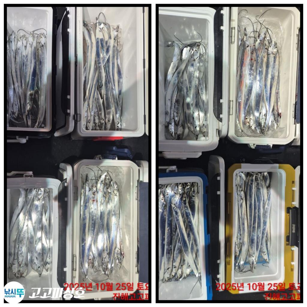 낚시뚜,갈치,속천항(진해),고고피싱호,낚시뚜13