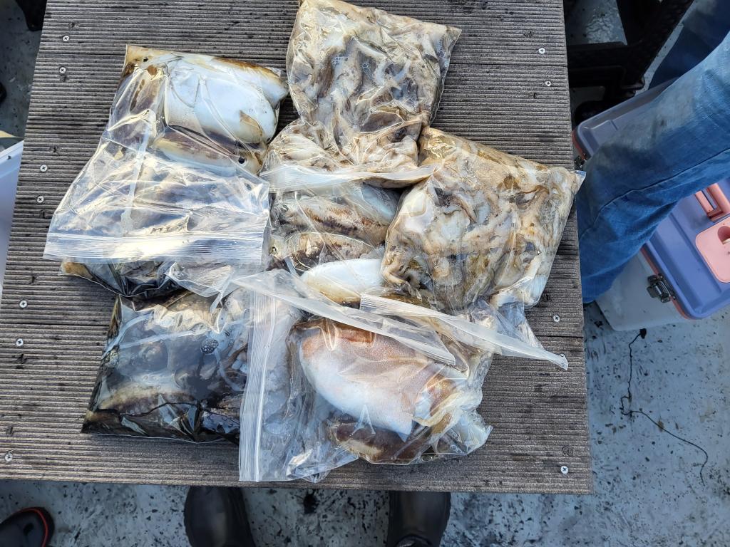 낚시뚜,쭈꾸미,오천항,푸르러호(뉴해양호),낚시뚜1