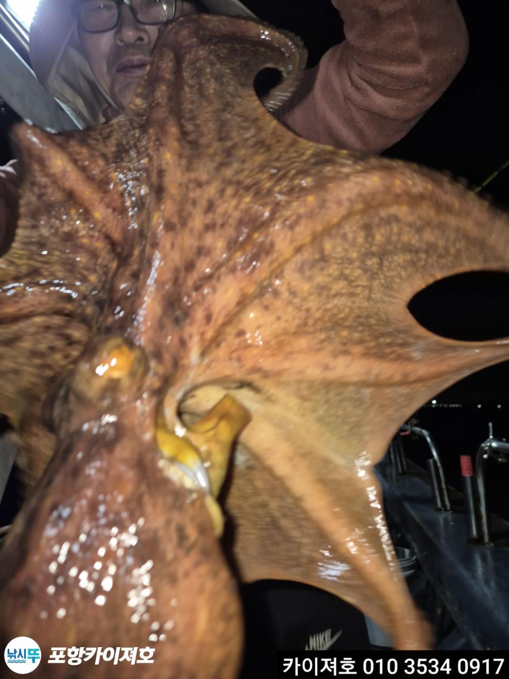 낚시뚜,기타 (직접입력),영일만항,포항카이져호,낚시뚜23