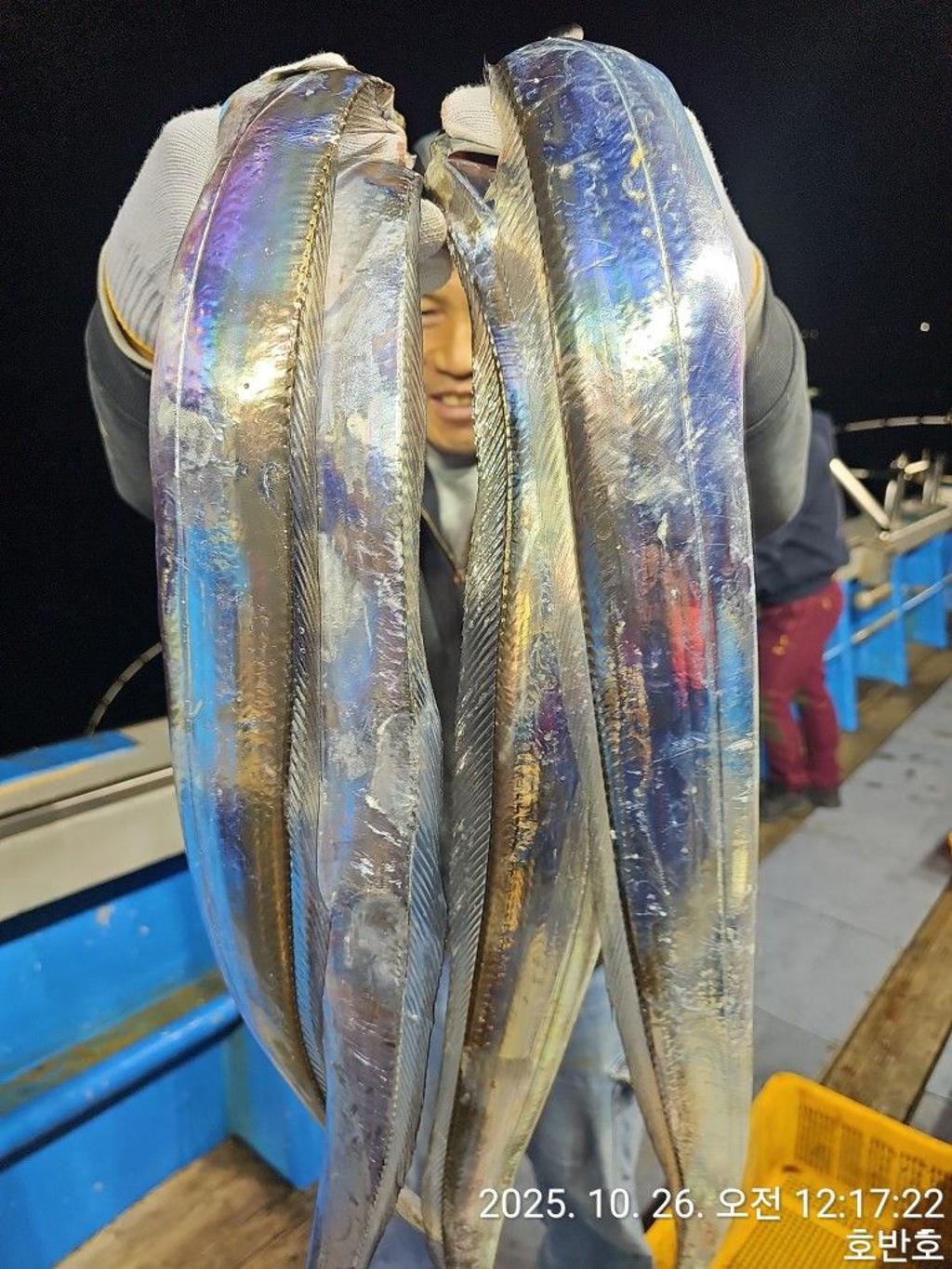 낚시뚜,갈치,통영 신전항,통영호반호,낚시뚜2