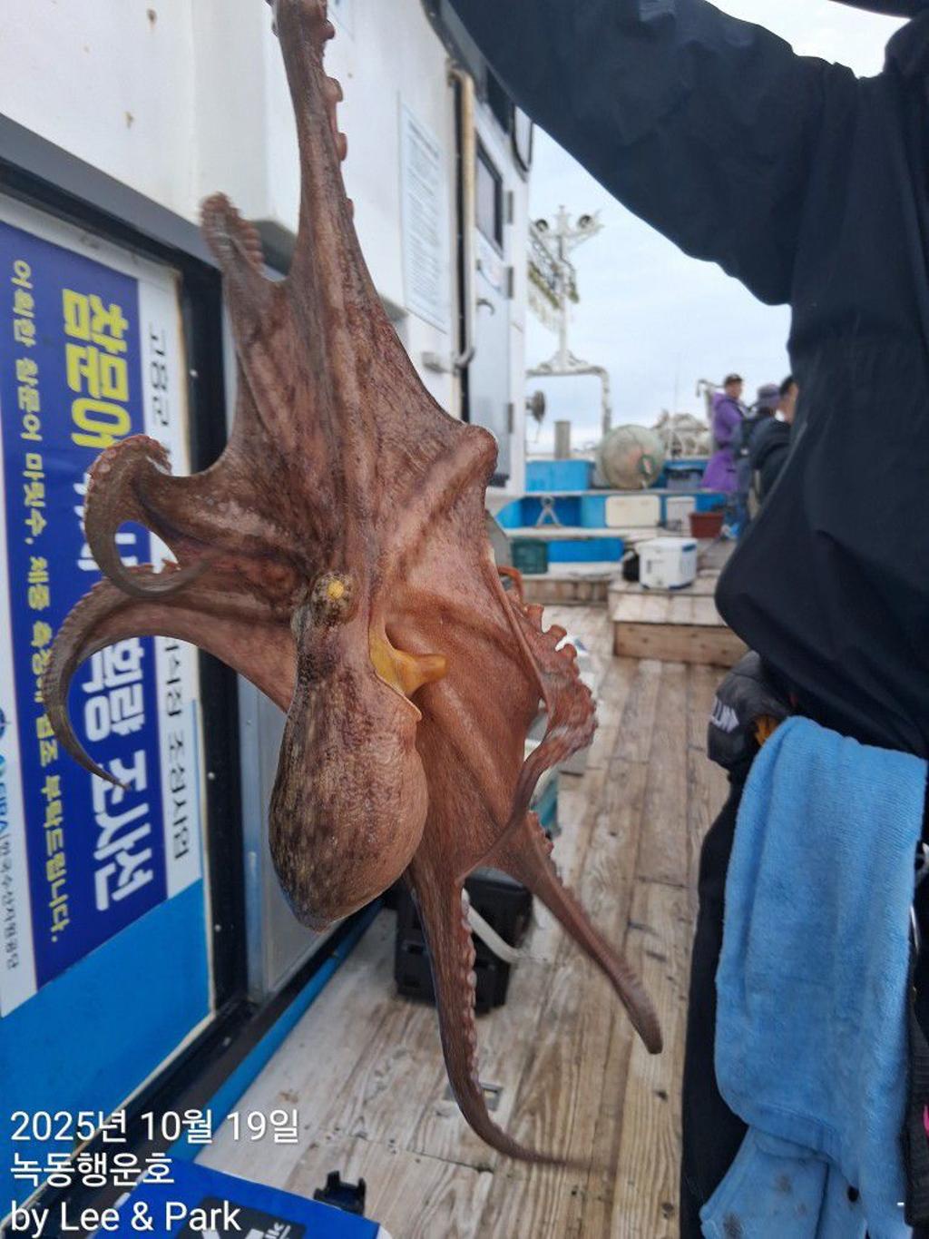 낚시뚜,갈치,녹동항,녹동대성호,낚시뚜88