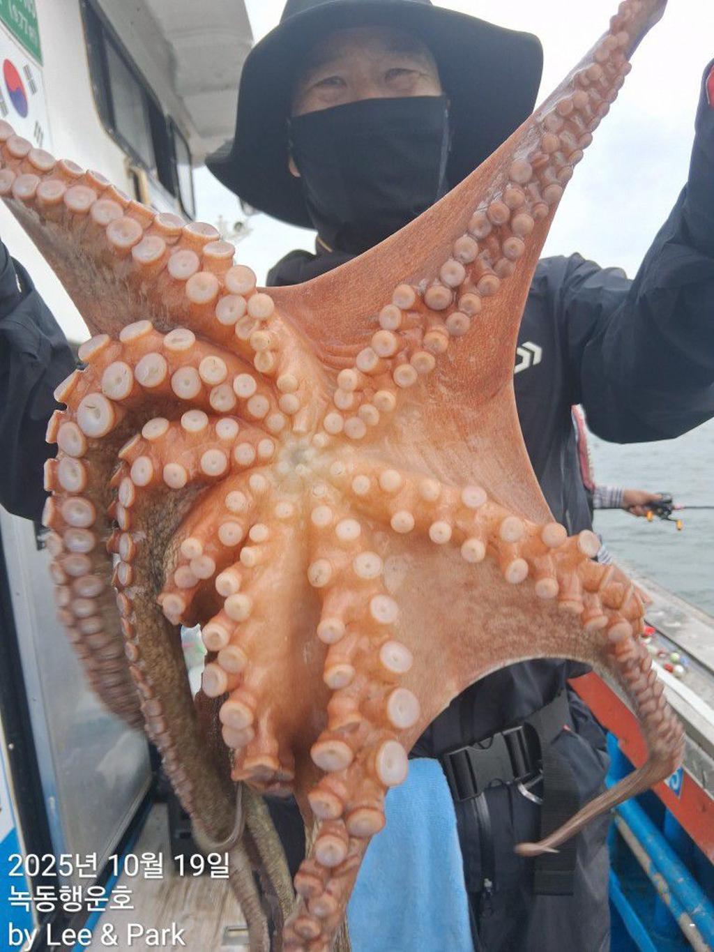 낚시뚜,갈치,녹동항,녹동대성호,낚시뚜86