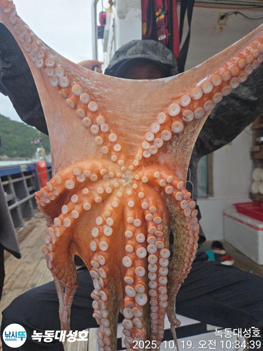 낚시뚜,갈치,녹동항,녹동대성호,낚시뚜85