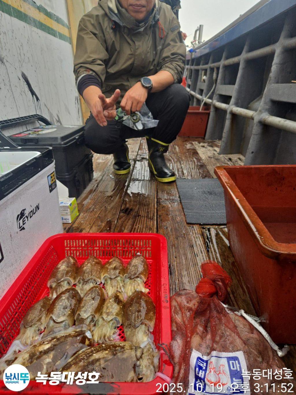 낚시뚜,갈치,녹동항,녹동대성호,낚시뚜80