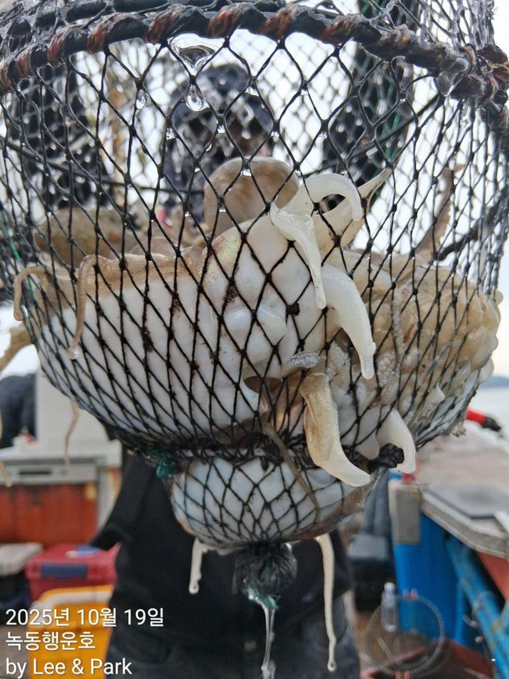 낚시뚜,갈치,녹동항,녹동대성호,낚시뚜79