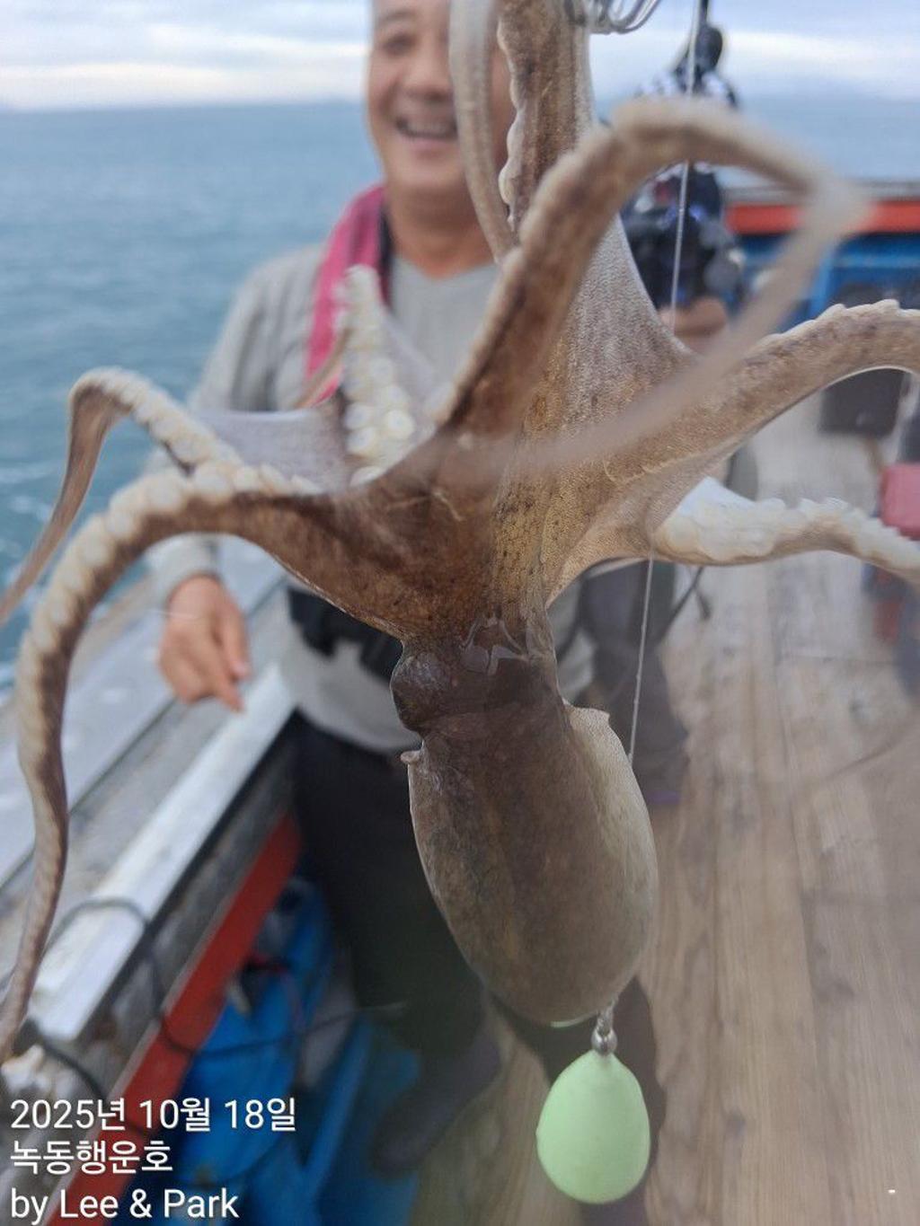 낚시뚜,갈치,녹동항,녹동대성호,낚시뚜71