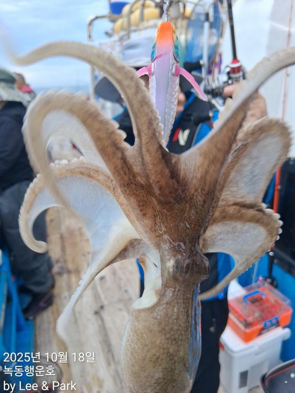 낚시뚜,갈치,녹동항,녹동대성호,낚시뚜69