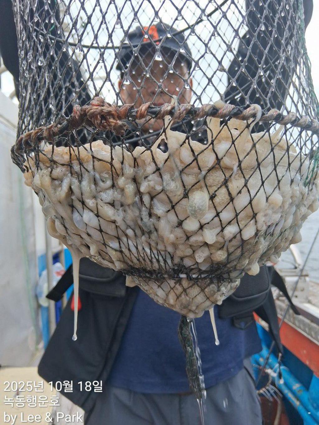 낚시뚜,갈치,녹동항,녹동대성호,낚시뚜63