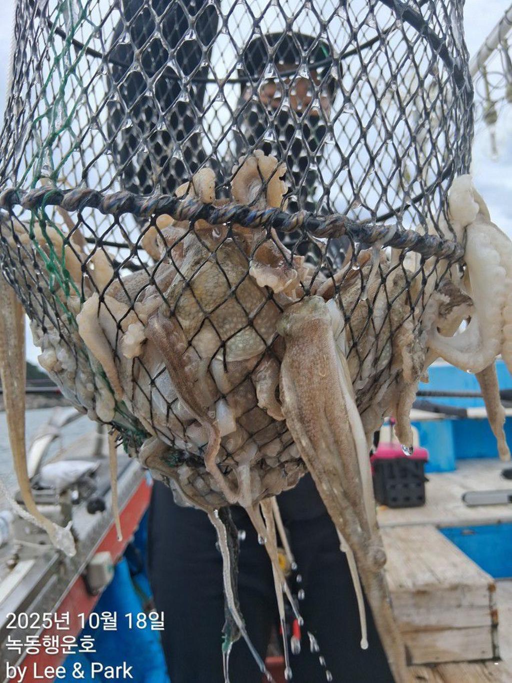 낚시뚜,갈치,녹동항,녹동대성호,낚시뚜61