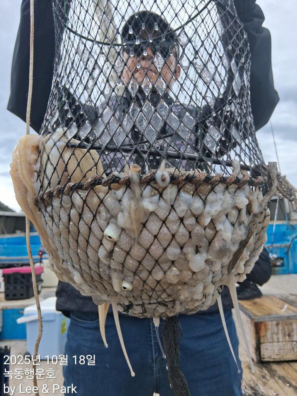 낚시뚜,갈치,녹동항,녹동대성호,낚시뚜60