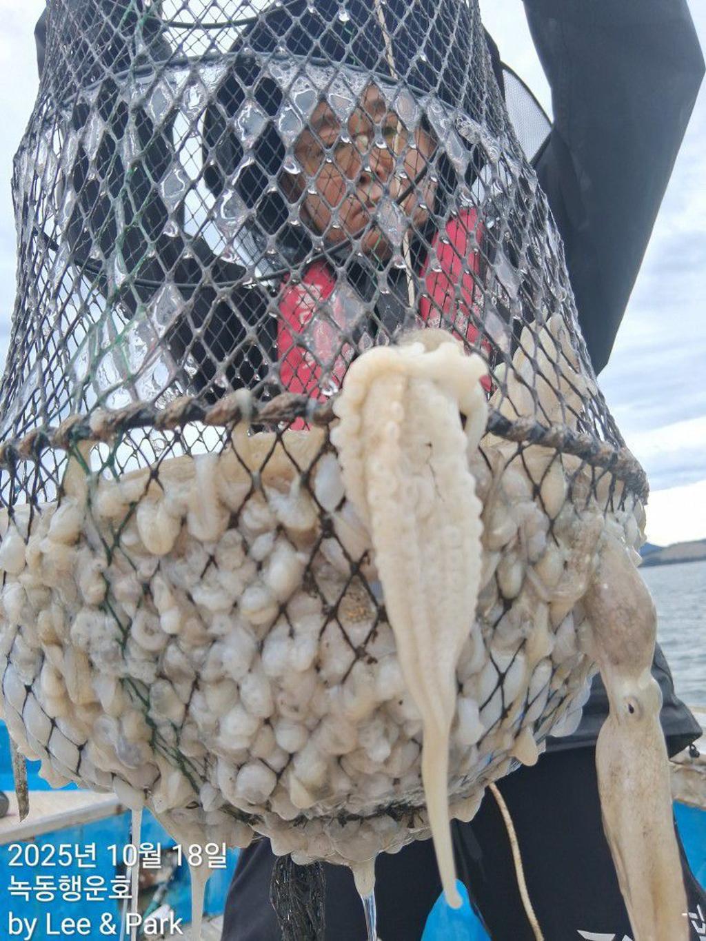 낚시뚜,갈치,녹동항,녹동대성호,낚시뚜58