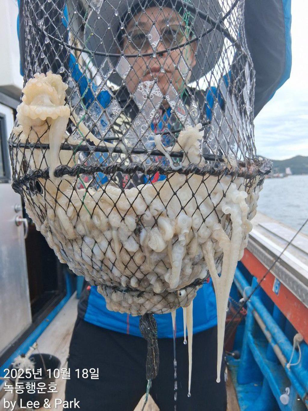 낚시뚜,갈치,녹동항,녹동대성호,낚시뚜57