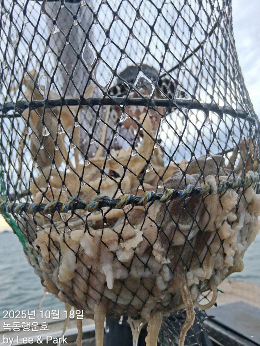 낚시뚜,갈치,녹동항,녹동대성호,낚시뚜54
