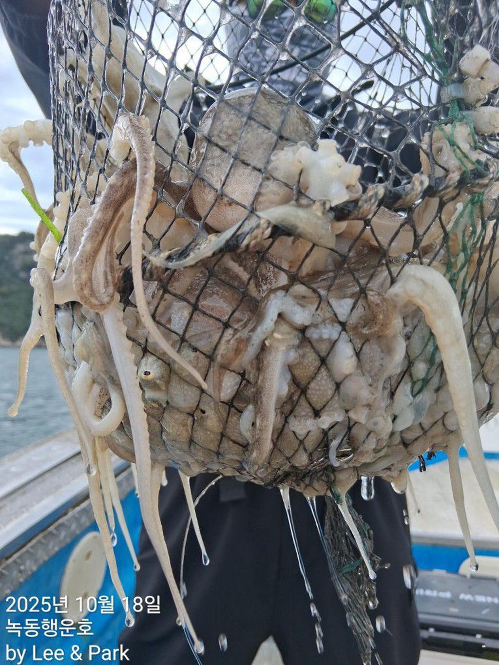 낚시뚜,갈치,녹동항,녹동대성호,낚시뚜51