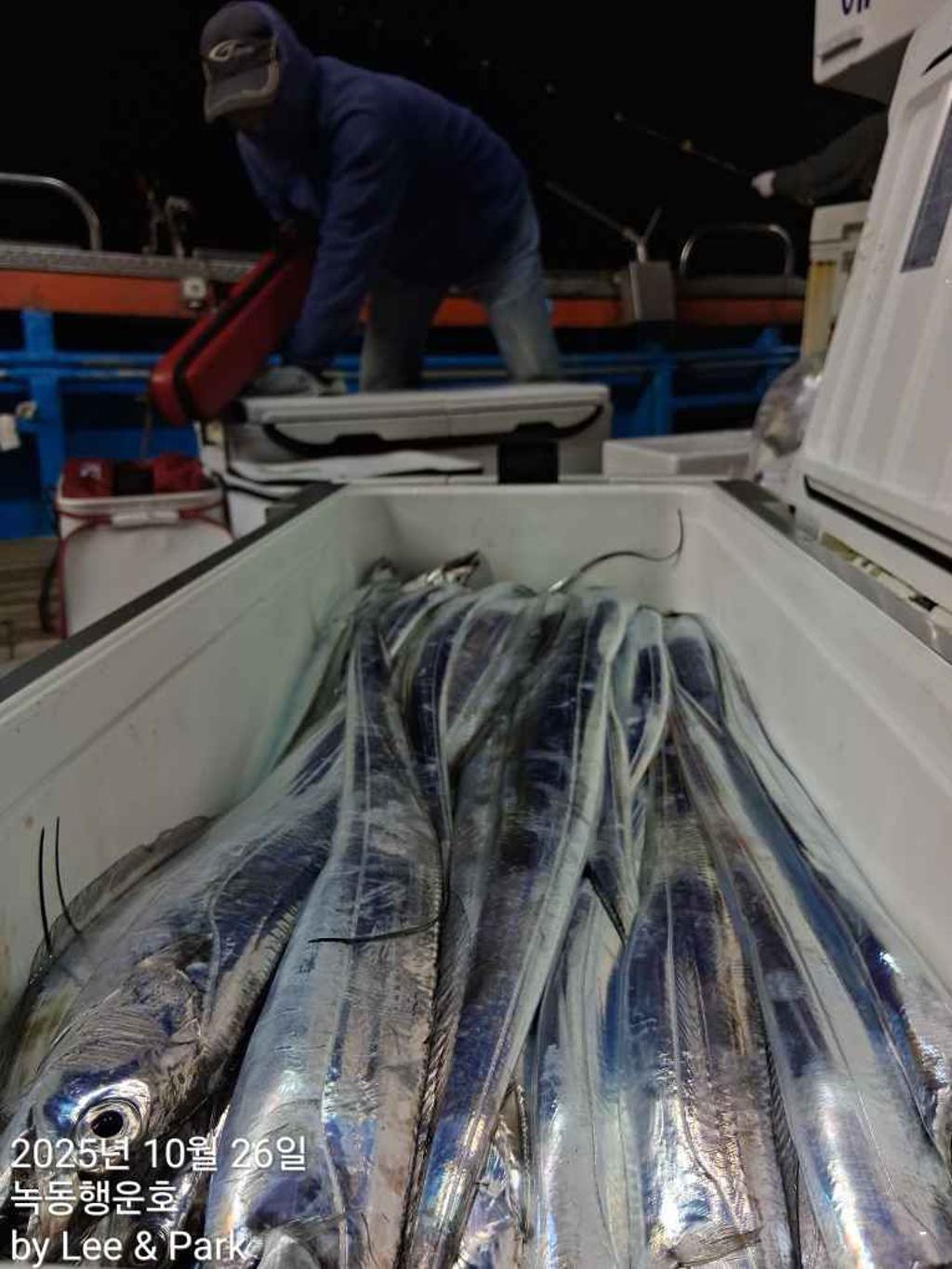 낚시뚜,갈치,녹동항,녹동대성호,낚시뚜32