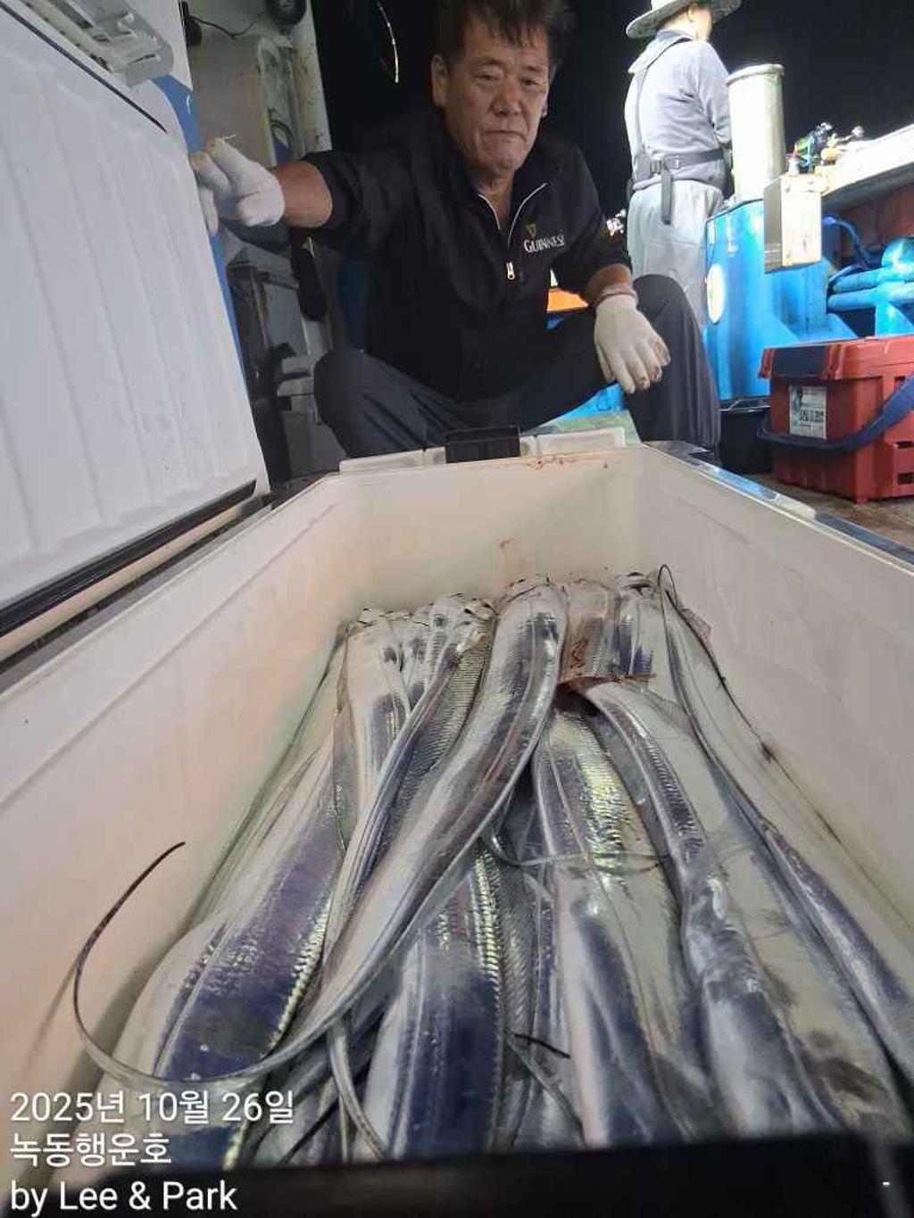 낚시뚜,갈치,녹동항,녹동대성호,낚시뚜29