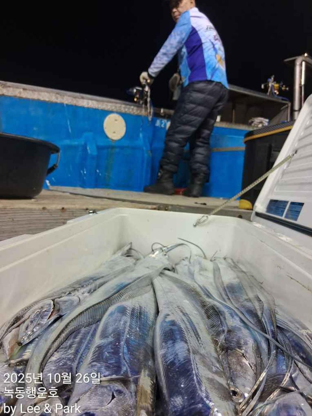 낚시뚜,갈치,녹동항,녹동대성호,낚시뚜22