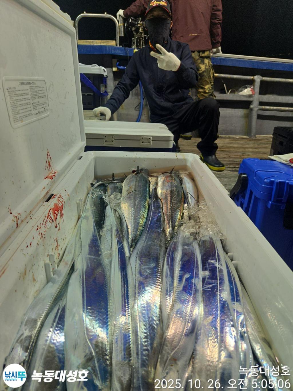 낚시뚜,갈치,녹동항,녹동대성호,낚시뚜18