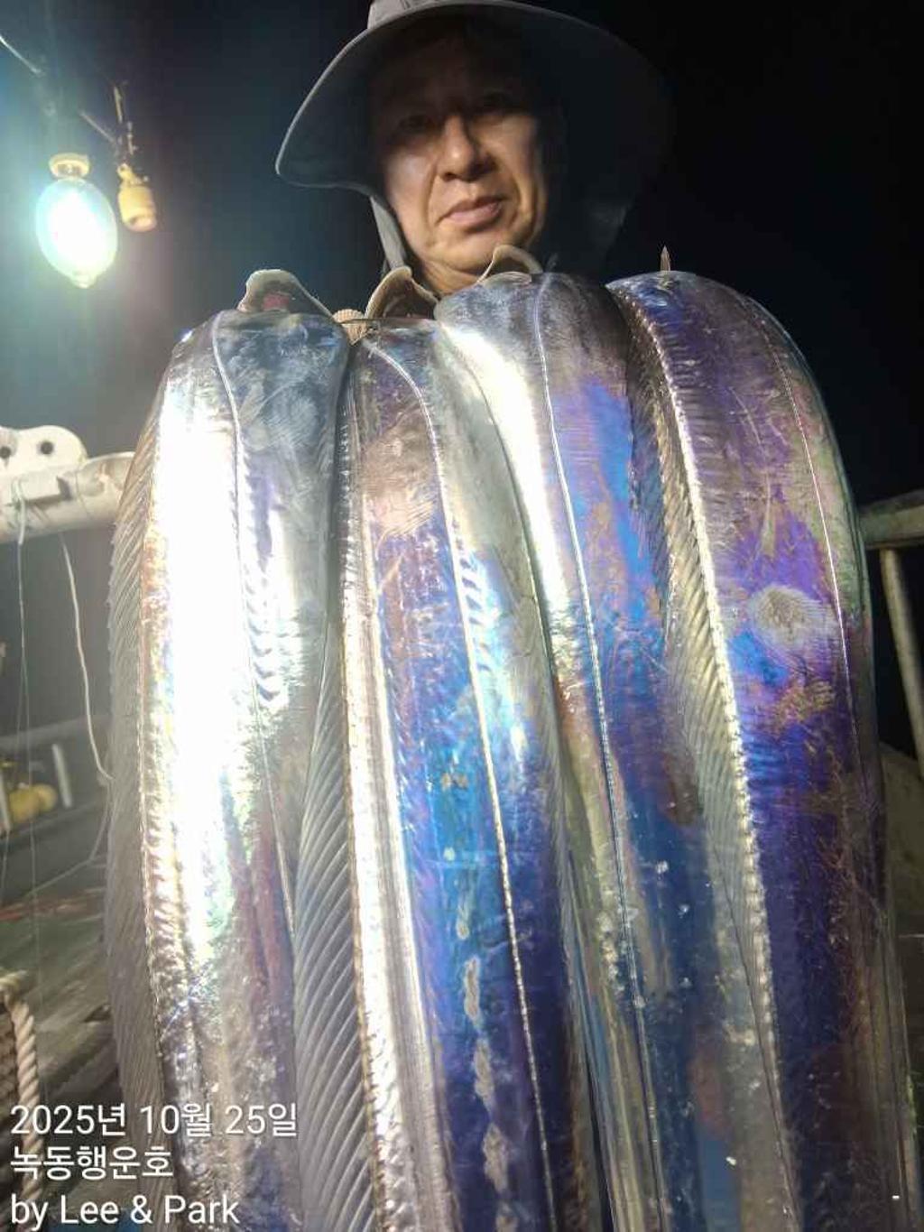 낚시뚜,갈치,녹동항,녹동대성호,낚시뚜14