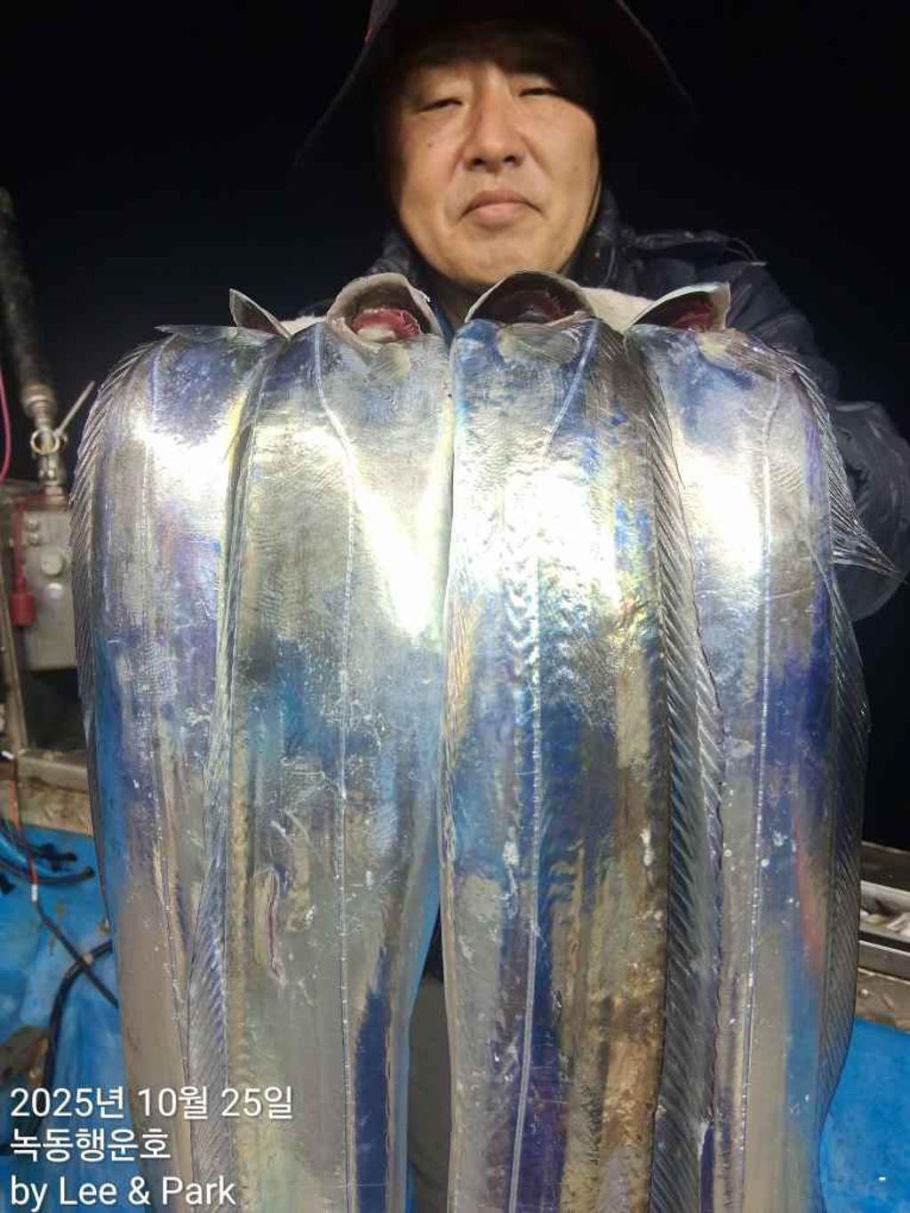 낚시뚜,갈치,녹동항,녹동대성호,낚시뚜13