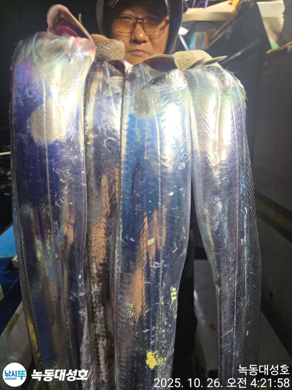 낚시뚜,갈치,녹동항,녹동대성호,낚시뚜12