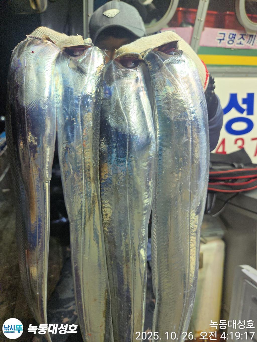 낚시뚜,갈치,녹동항,녹동대성호,낚시뚜10