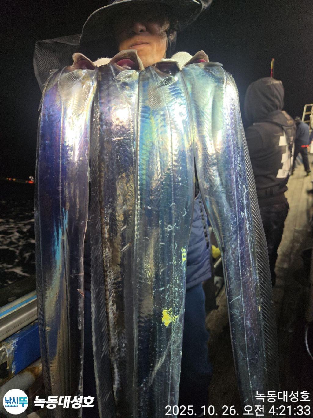 낚시뚜,갈치,녹동항,녹동대성호,낚시뚜8