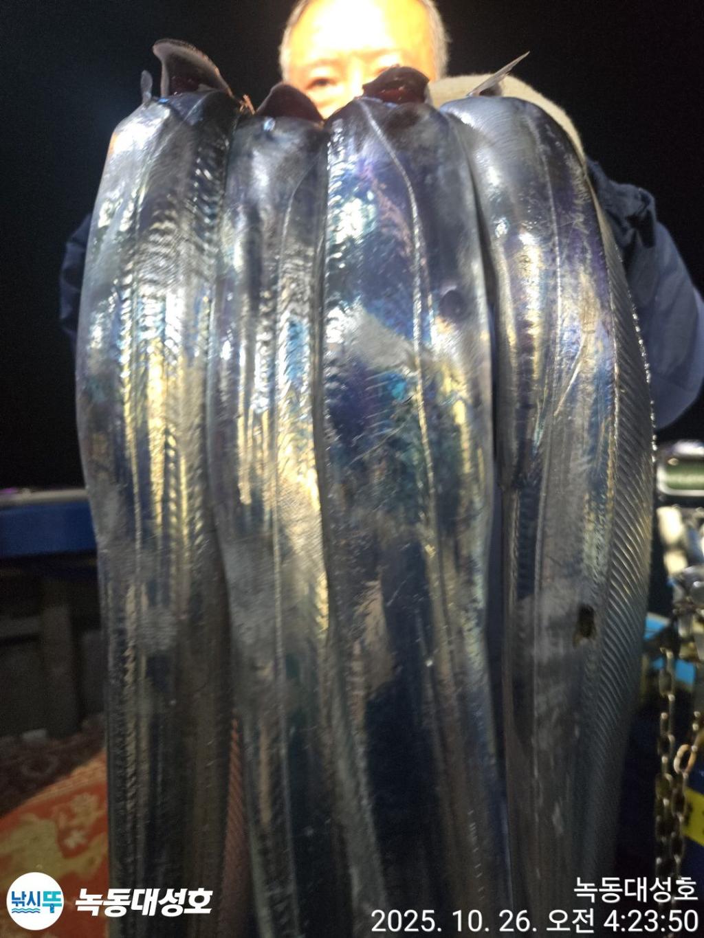 낚시뚜,갈치,녹동항,녹동대성호,낚시뚜7