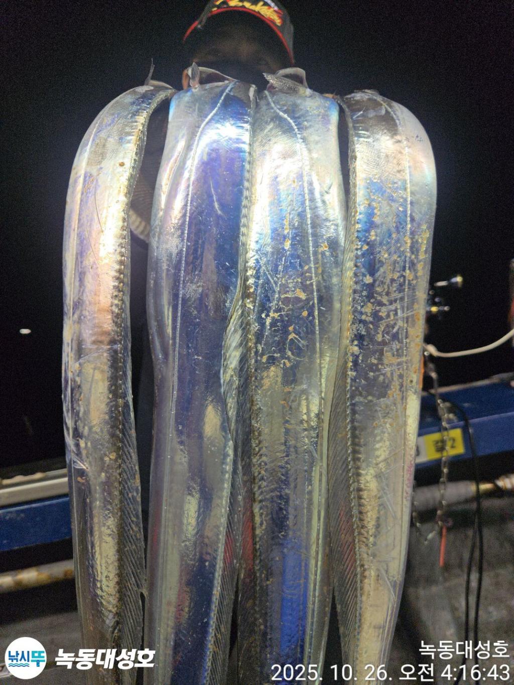 낚시뚜,갈치,녹동항,녹동대성호,낚시뚜6