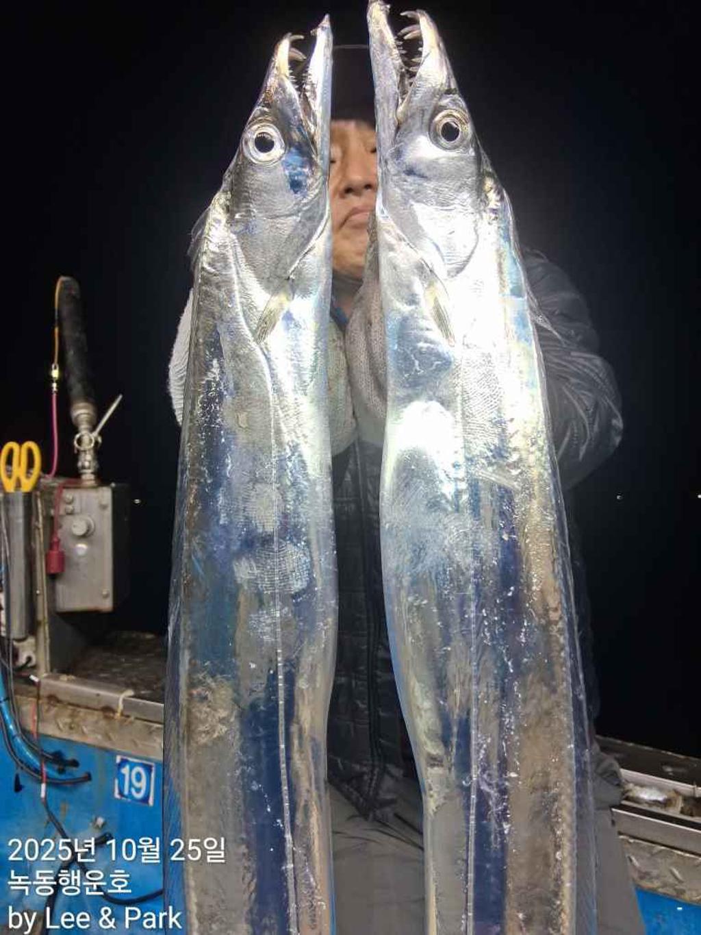 낚시뚜,갈치,녹동항,녹동대성호,낚시뚜3