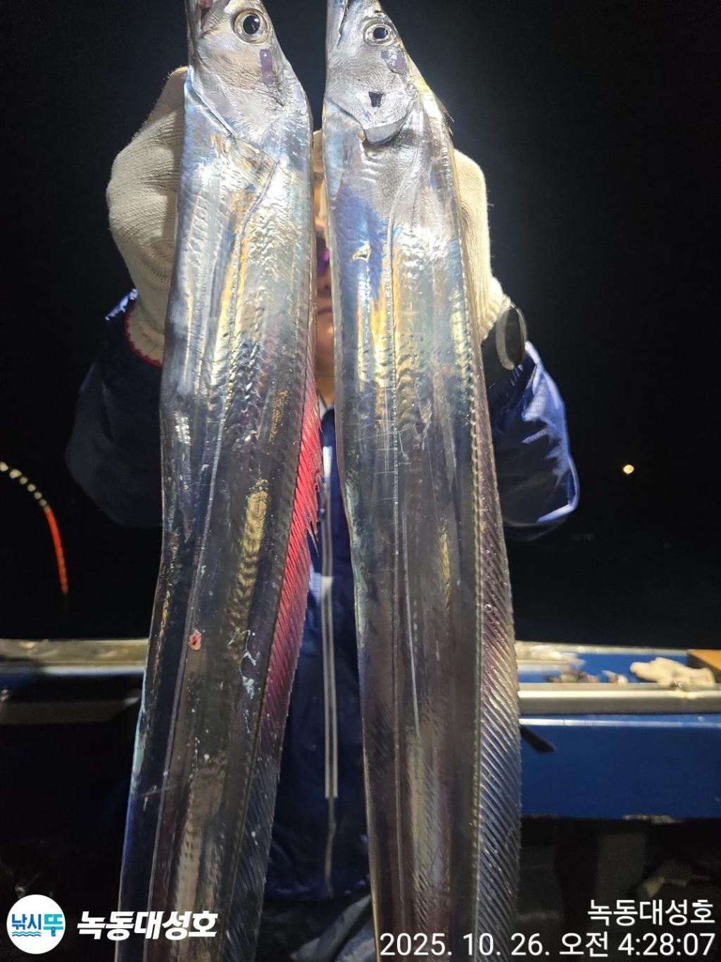 낚시뚜,갈치,녹동항,녹동대성호,낚시뚜2