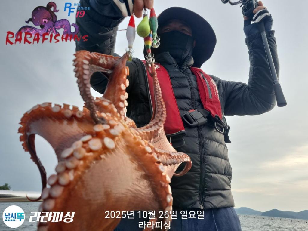 낚시뚜,돌문어,속천항(진해),라라피싱,낚시뚜13