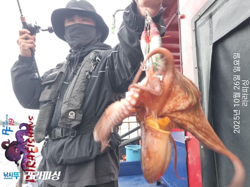 낚시뚜,돌문어,속천항(진해),라라피싱,낚시뚜10