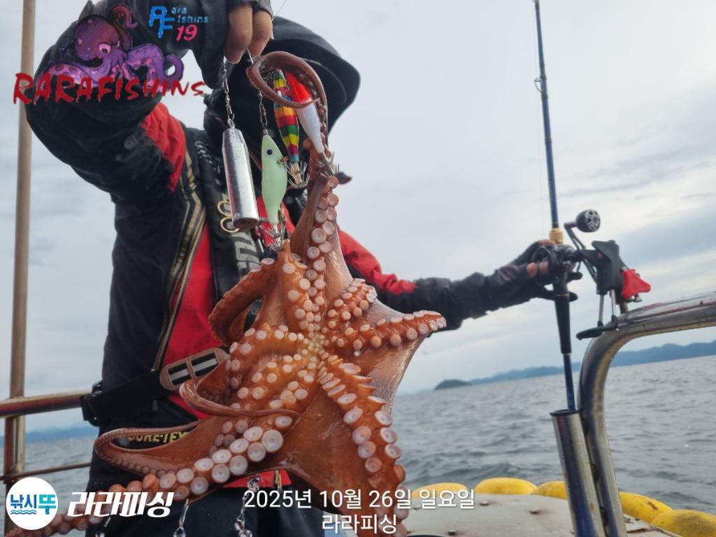 낚시뚜,돌문어,속천항(진해),라라피싱,낚시뚜8
