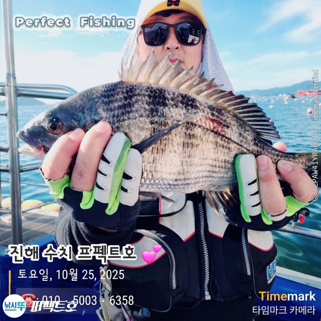낚시뚜,감성돔,진해 수치마을 방파제,퍼펙트호,낚시뚜1
