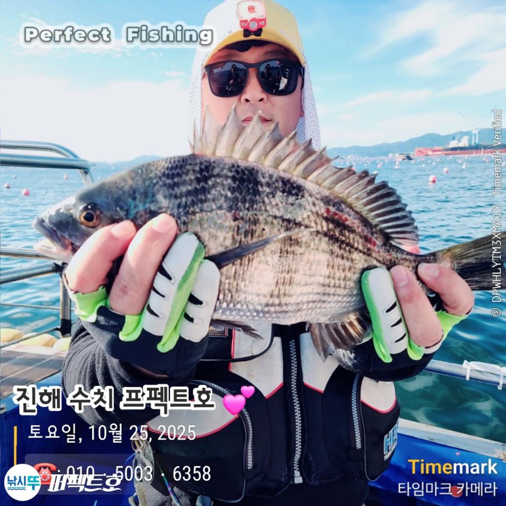 낚시뚜,감성돔,진해 수치마을 방파제,퍼펙트호,낚시뚜0