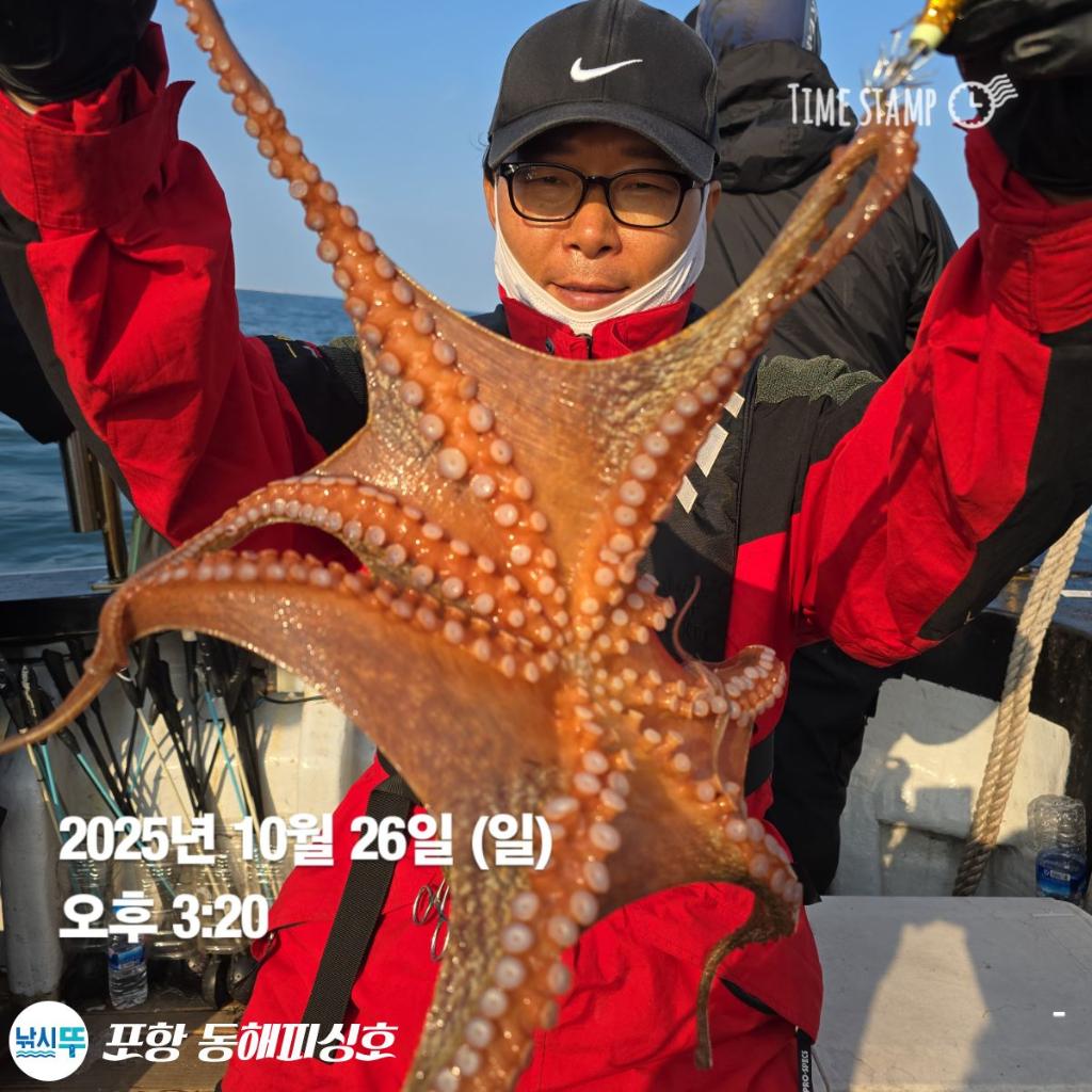 낚시뚜,돌문어,포항(운하관),포항 동해피싱호,낚시뚜13