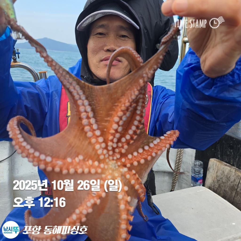 낚시뚜,돌문어,포항(운하관),포항 동해피싱호,낚시뚜12