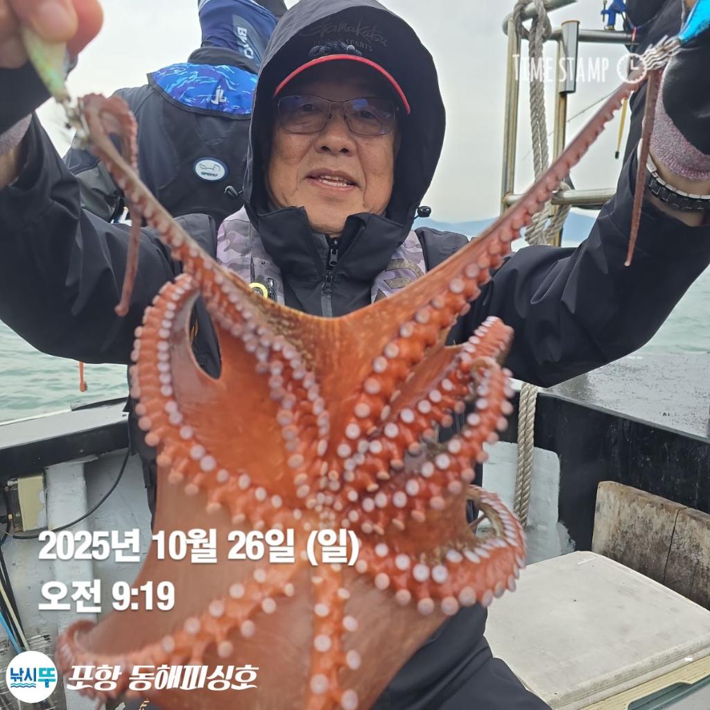 낚시뚜,돌문어,포항(운하관),포항 동해피싱호,낚시뚜9