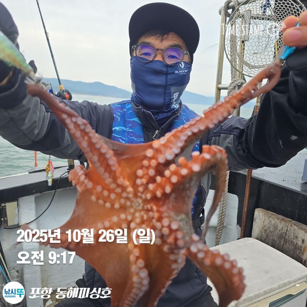 낚시뚜,돌문어,포항(운하관),포항 동해피싱호,낚시뚜8