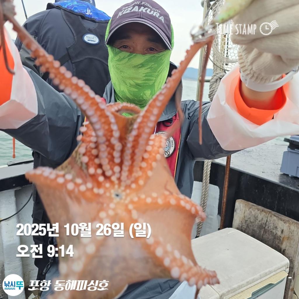 낚시뚜,돌문어,포항(운하관),포항 동해피싱호,낚시뚜7