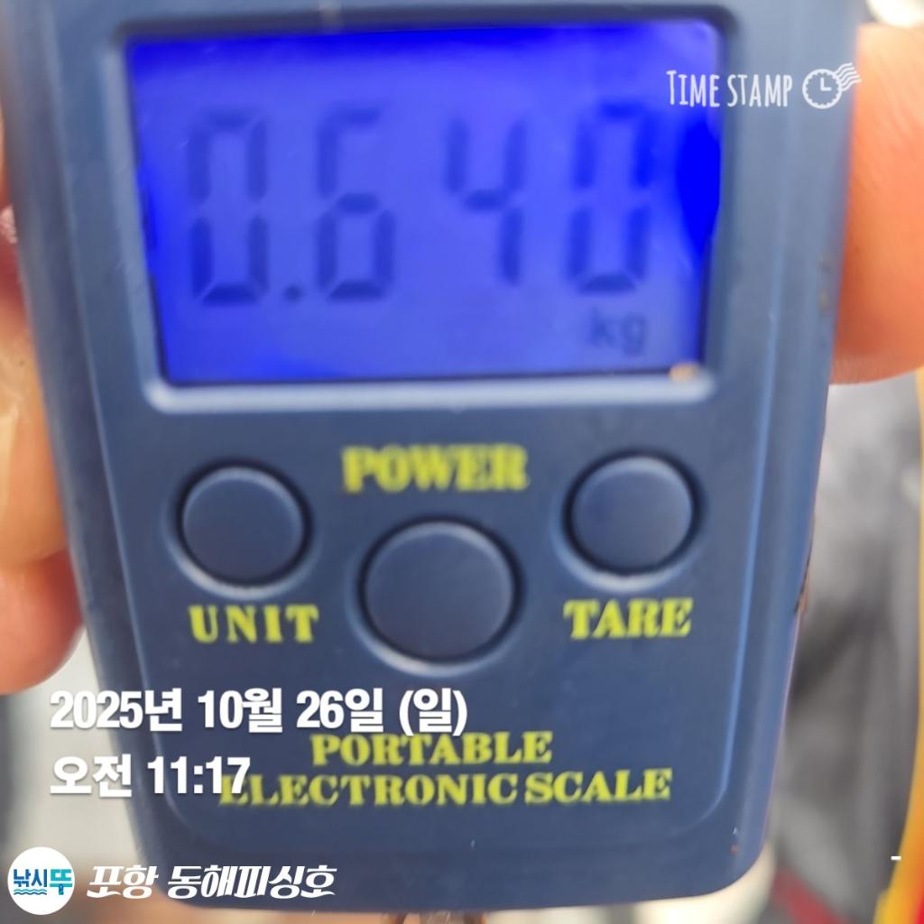 낚시뚜,돌문어,포항(운하관),포항 동해피싱호,낚시뚜4