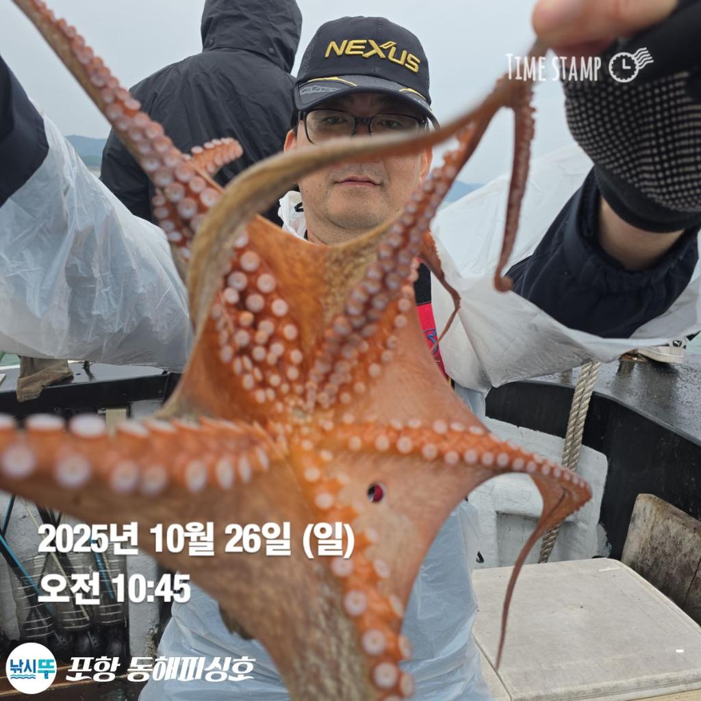 낚시뚜,돌문어,포항(운하관),포항 동해피싱호,낚시뚜3