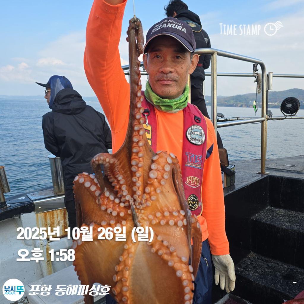 낚시뚜,돌문어,포항(운하관),포항 동해피싱호,낚시뚜2