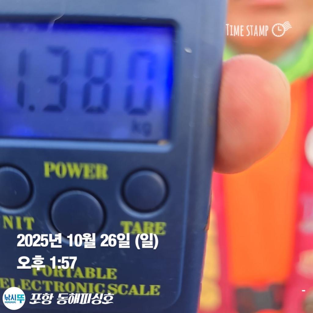 낚시뚜,돌문어,포항(운하관),포항 동해피싱호,낚시뚜1