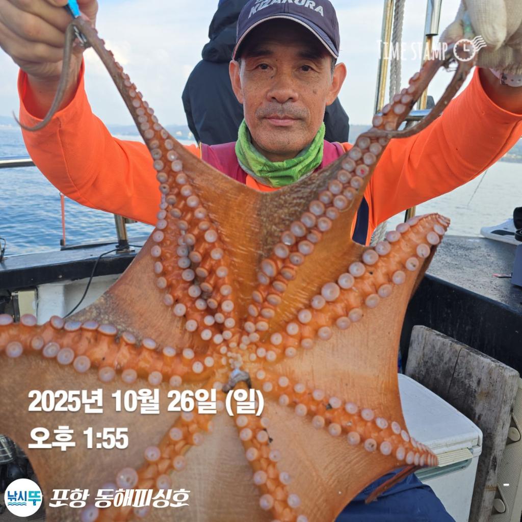 낚시뚜,돌문어,포항(운하관),포항 동해피싱호,낚시뚜0